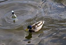 IMG_2062.jpg