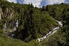 IMG_0010.jpg