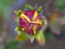 IMG_0315.jpg