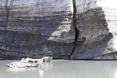 IMG_0483.jpg