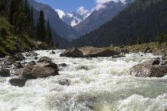 IMG_0784.jpg