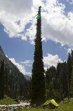 IMG_0792.jpg
