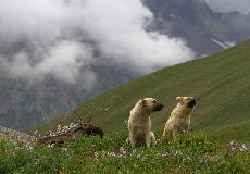 IMG_1108.jpg