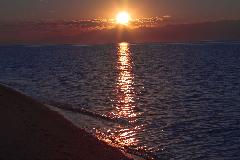 IMG_1391.jpg