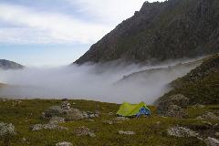 IMG_2395.jpg