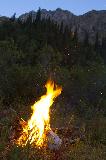 IMG_2524.jpg
