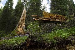IMG_9810_2.jpg
