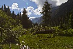 IMG_9831.jpg