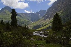 IMG_9970.jpg