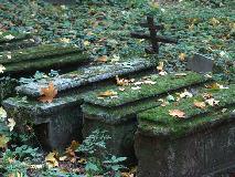DSC02305.jpg