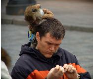 DSC02514.jpg