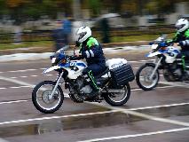 DSC02769.jpg