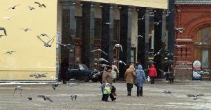 DSC05269.jpg