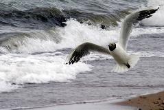 IMG_5149.jpg