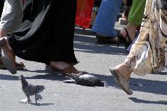 IMG_9577.jpg