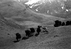 d0031.jpg