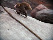 DSC08340.jpg