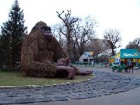 DSC08376.jpg