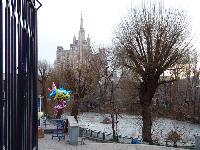 DSC08580.jpg