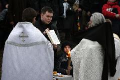 IMG_0460.jpg