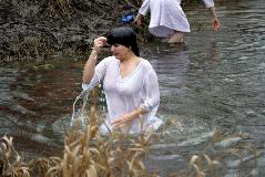 IMG_0645.jpg