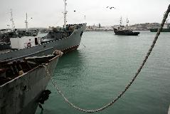 IMG_0902.jpg