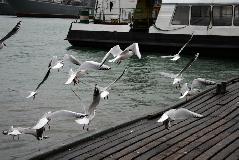IMG_0945.jpg