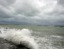 IMG_0985.jpg