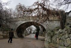 IMG_1086.jpg