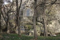 IMG_1135.jpg
