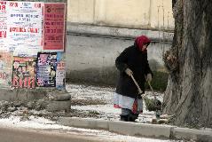 IMG_1146.jpg
