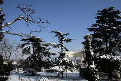 IMG_1290.jpg