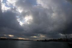 IMG_1488.jpg
