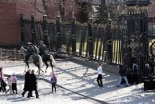 IMG_1315.jpg