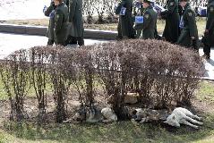 IMG_1320.jpg