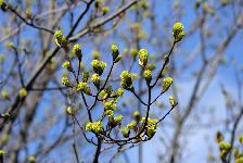 IMG_2192.jpg