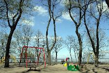 IMG_2391.jpg