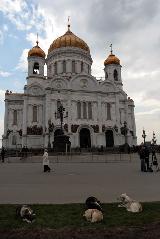 IMG_4203.jpg