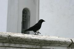 IMG_6700.jpg