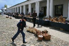 IMG_6796.jpg
