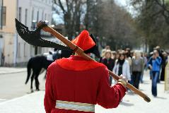 IMG_6817.jpg