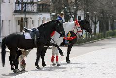 IMG_6827.jpg