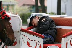 IMG_6855.jpg