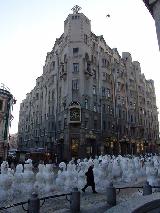 DSC05800.jpg