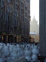 DSC05801.jpg