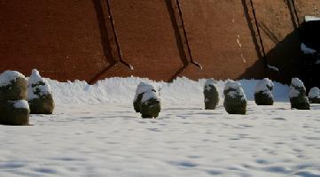 IMG_2734.jpg