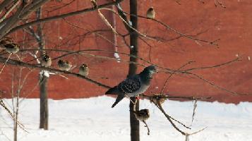 IMG_2736.jpg