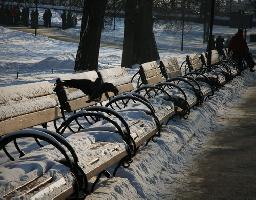 IMG_2741.jpg