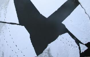 IMG_2746.jpg