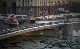 IMG_2753.jpg